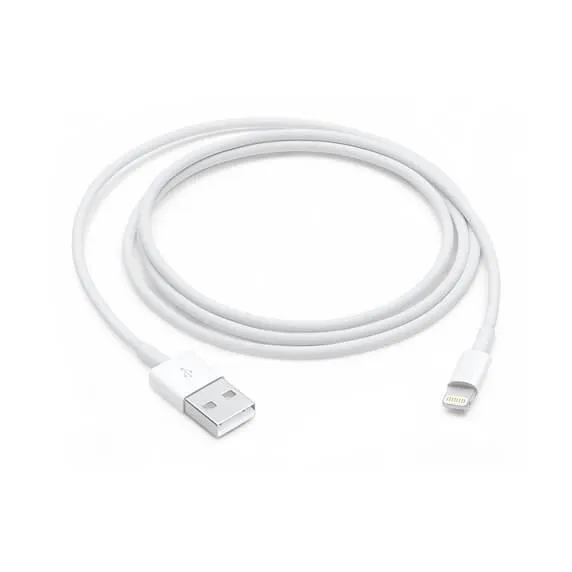 Apple Lightning to USB Cable (1m)