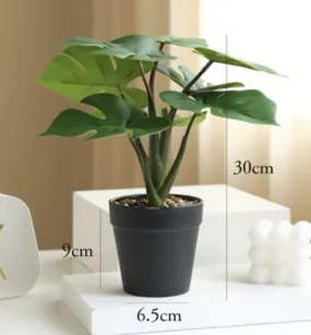 Fake Plant WIFI Camera