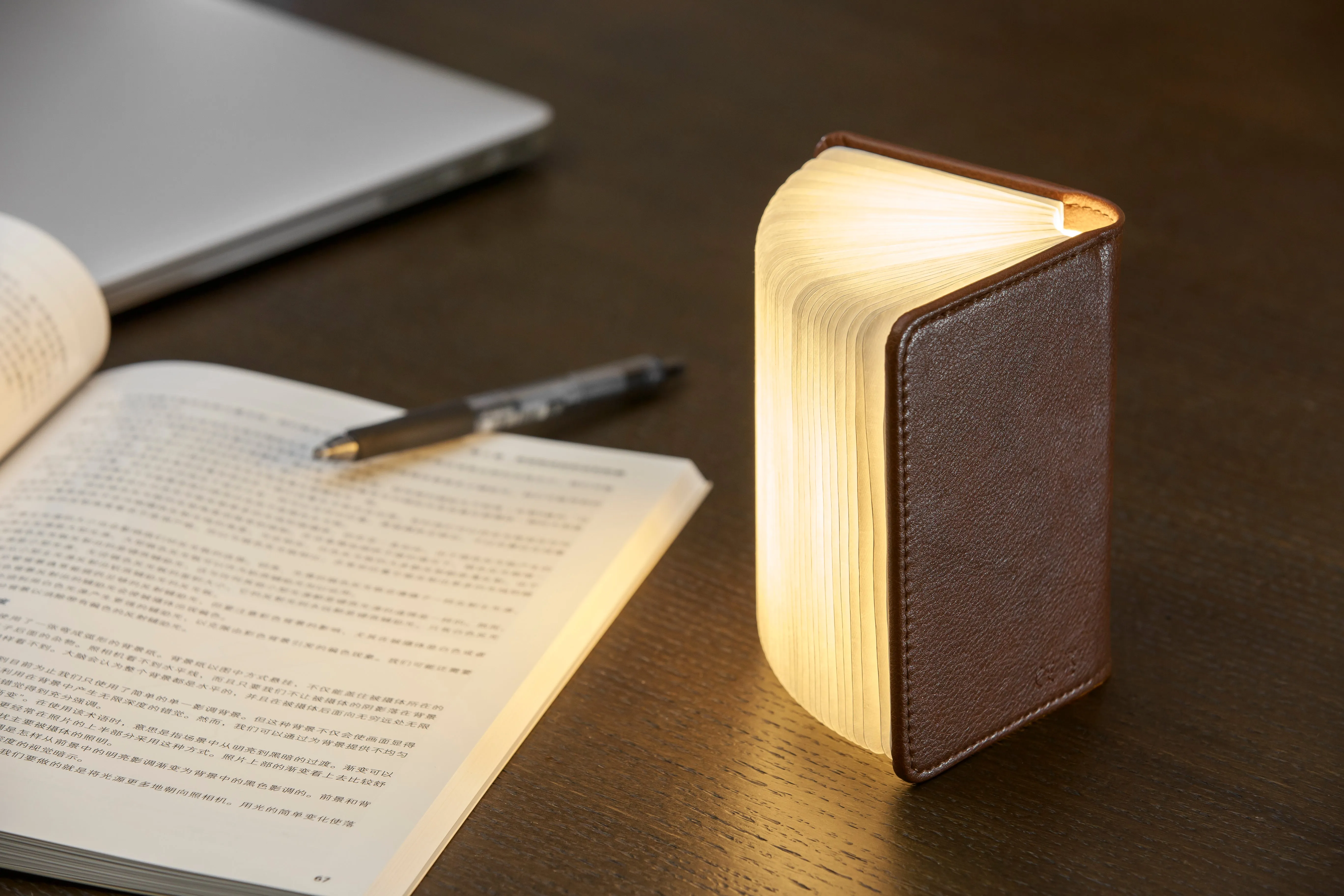 Ging-Ko Mini Brown Leather Smart BookLight