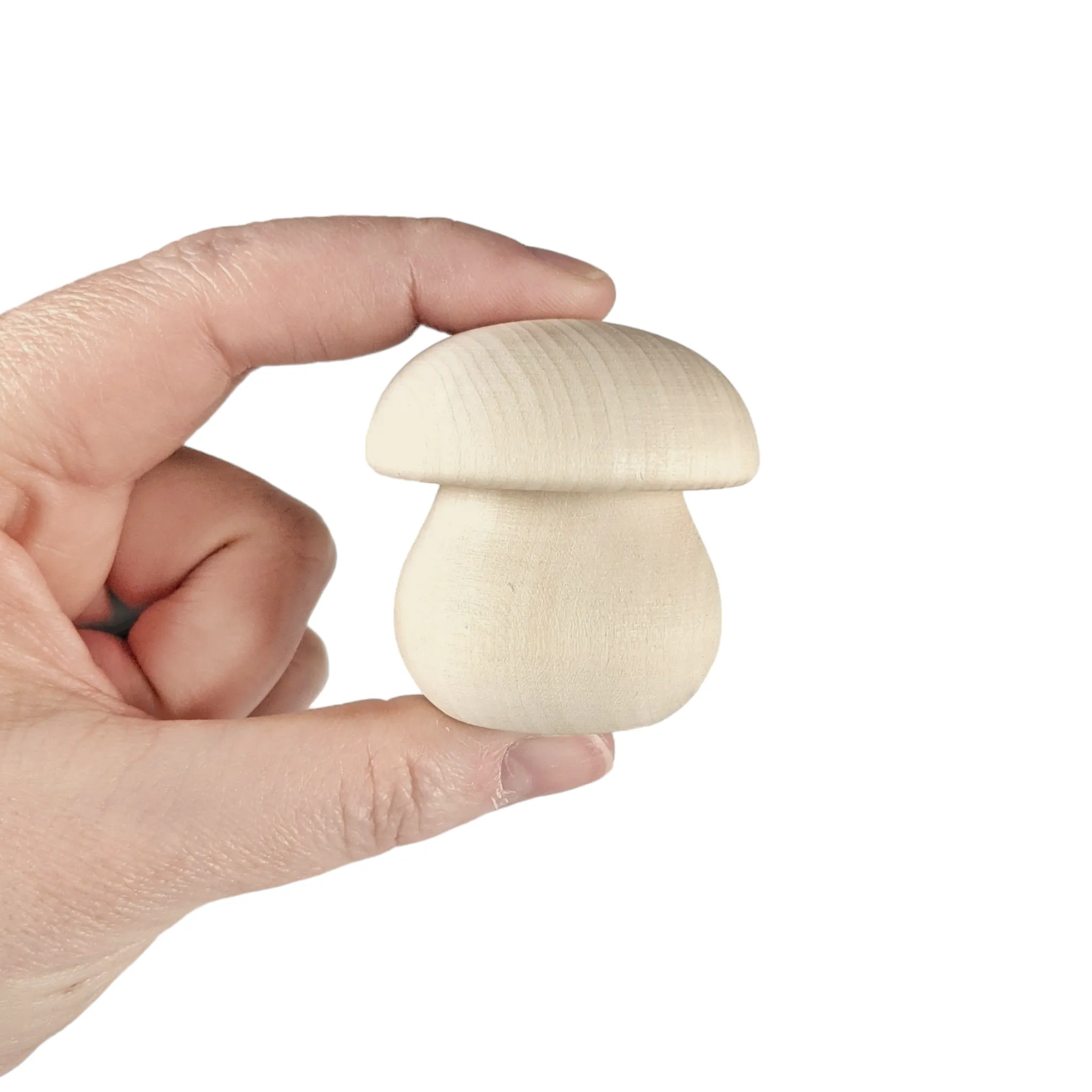 Mini Mushroom Box - set of 2