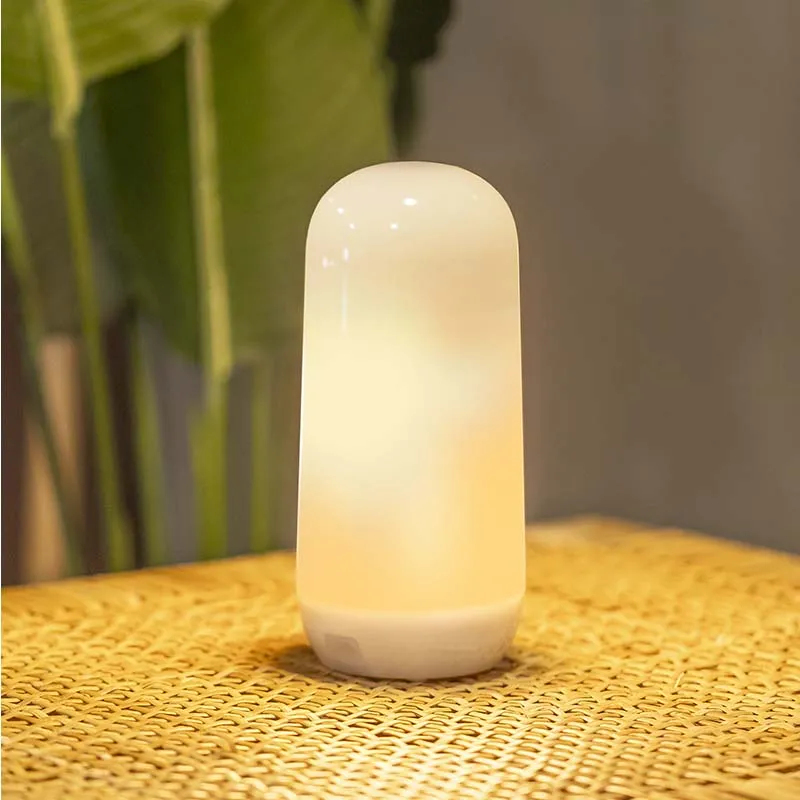 Portable light bulb with flame effect/static light CANDY