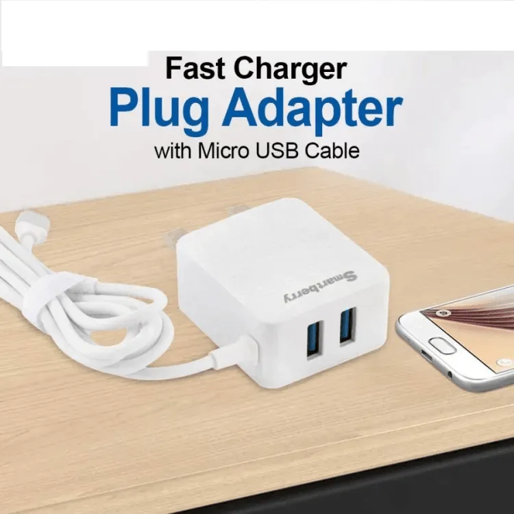 Smart Berry 3.1A Fast Charger With 2 USB Port - C301