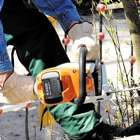 STIHL MSA 220 C Cordless Chainsaw