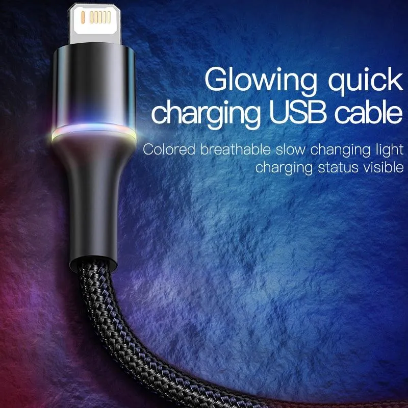 USB Cable For iPhone 12 11 Pro XS Max Xr X 8 7 6 LED Fast Charging Charger Date Phone Cable For iPad Wire Cord